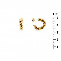 Photo of Stainless Steel Earrings IP Gold