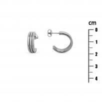 Photo of Stainless Steel Earrings 