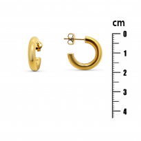 Photo of Stainless Steel Earrings IP Gold