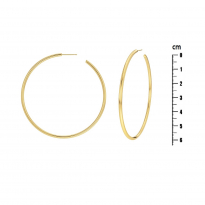 Photo de Stainless Steel Earrings IP Gold 60mm