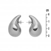 Photo of Rhodium plating earrings