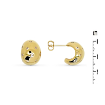 Photo de Gold Filled 18kt Earrings 