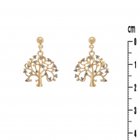 Photo de Gold Filled 18kt Earrings 